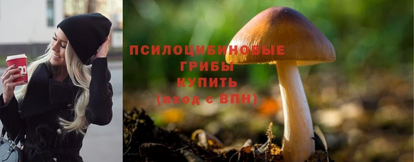 гидропоника Балахна