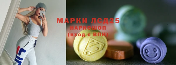 индика Семилуки
