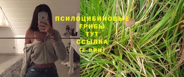 эйфоретик Баксан