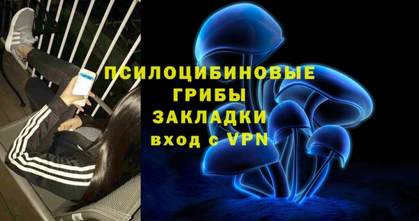эйфоретик Баксан
