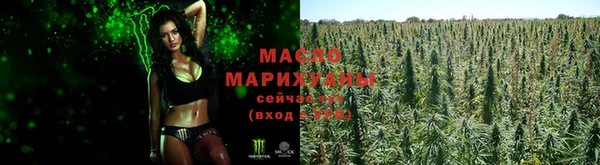 индика Семилуки